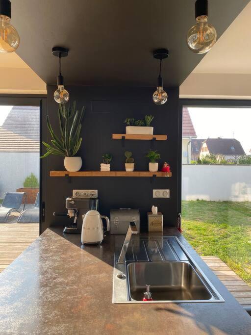 Maison D'Architecte Situee Sur La Route Des Vins Châtenois Extérieur photo